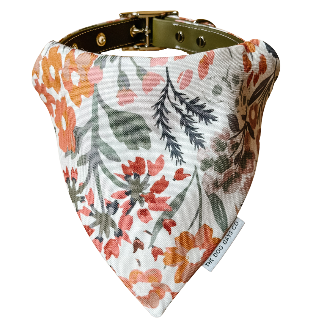 Autumn Harvest EcoPup Slip-On Bandana