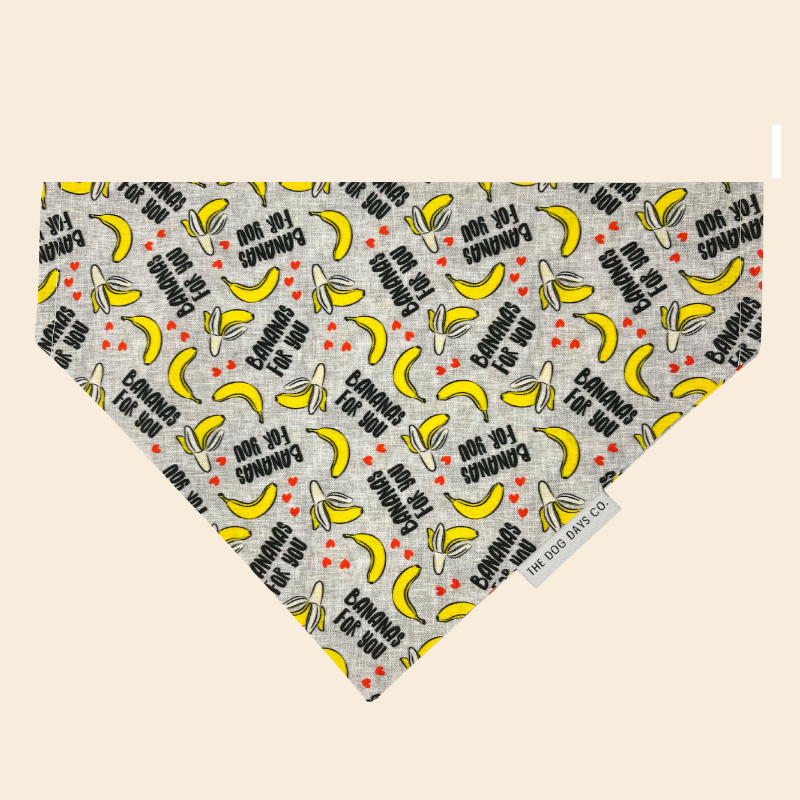 Bananas For You Slip On Bandana