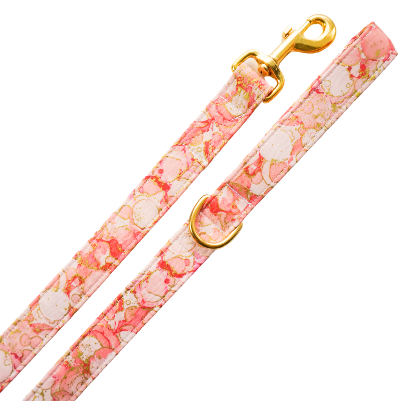 Stay Golden - Blush Leash