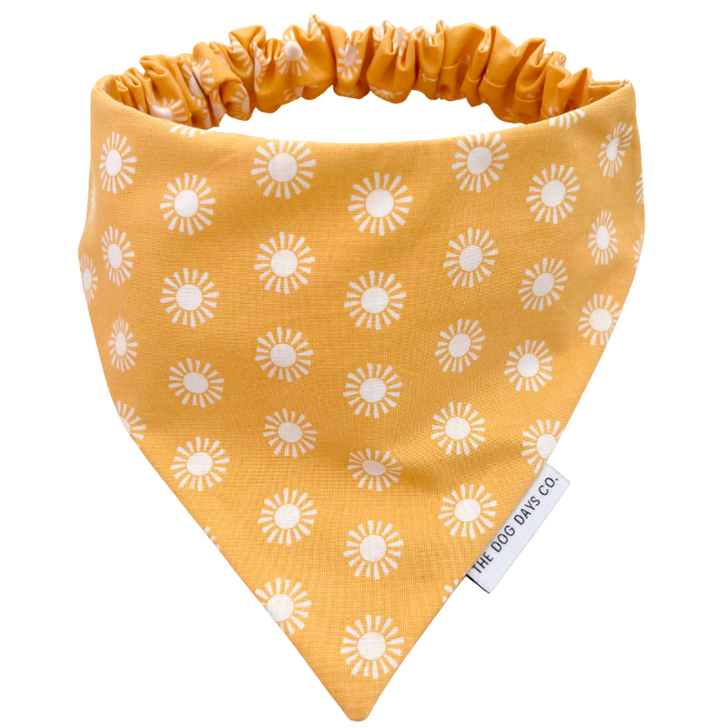 Sunshine Scrunchie Bandana