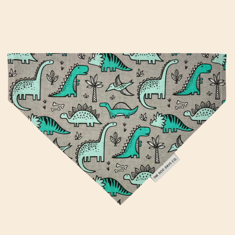 Teal Dino Slip On Bandana