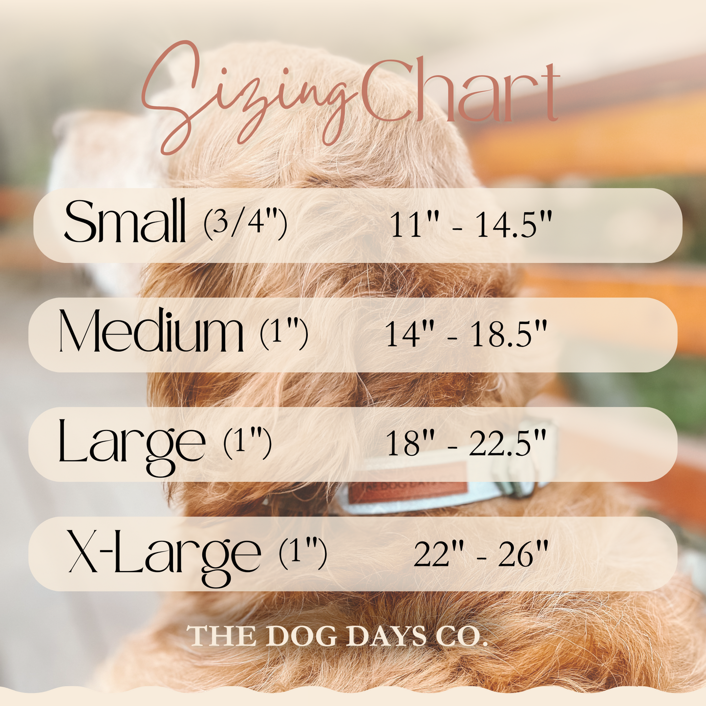 Autumn Bliss EcoPup Collar