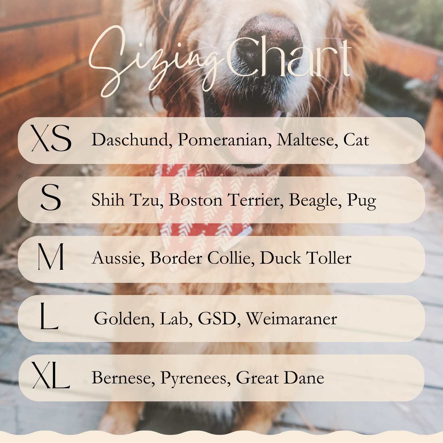 Luxe Blue & White Check Scrunchie Bandana