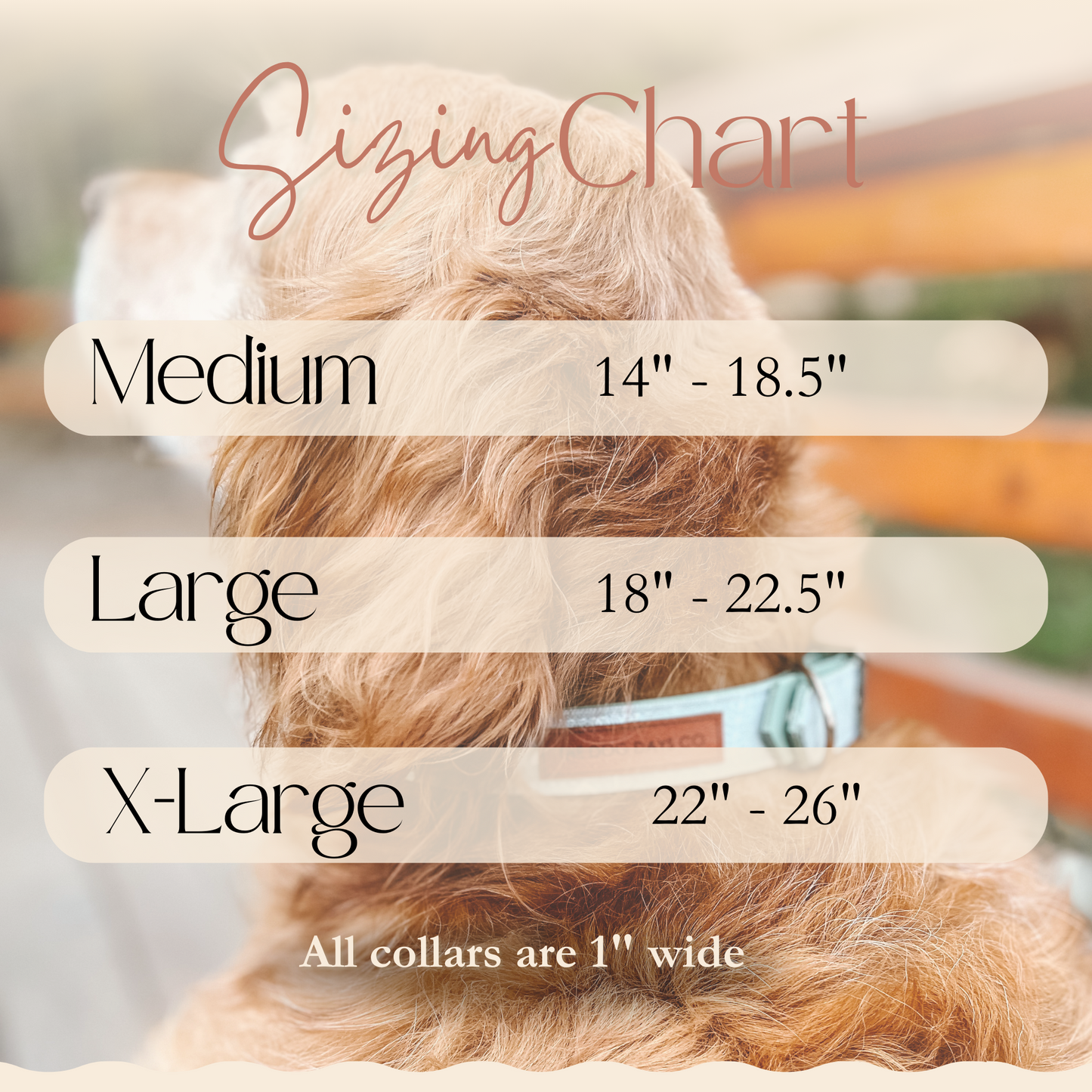 Vintage Blue EcoPup Collar