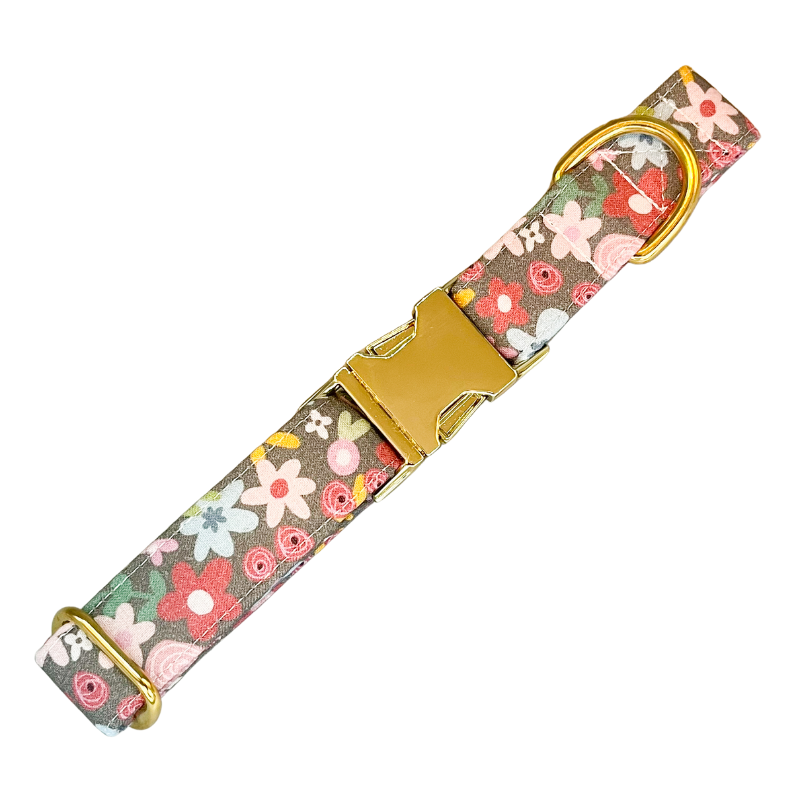 Blossom co discount dog collar