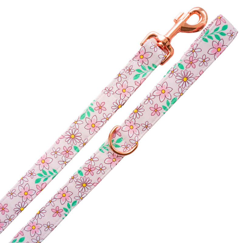 Pretty in Pink Leash