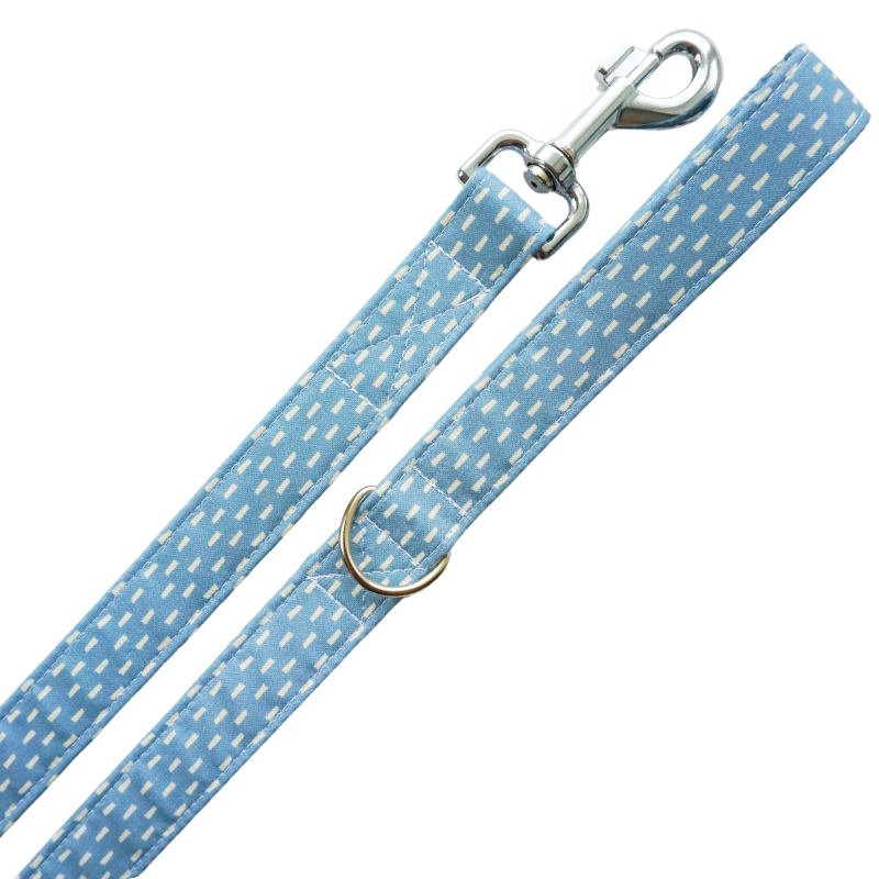 Dashing and Dapper Leash