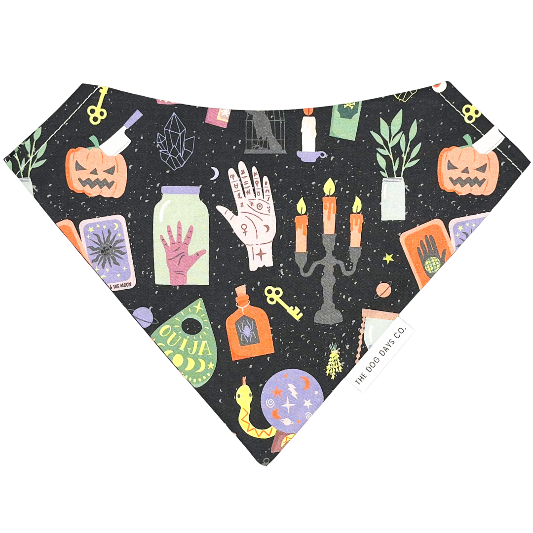Halloween Spirit Bandana