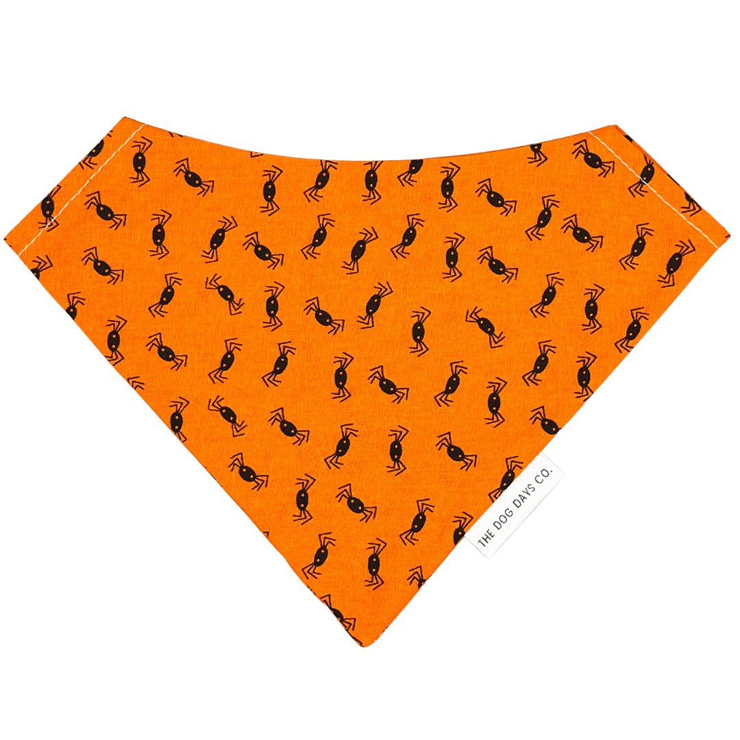 Creepy Crawly Bandana