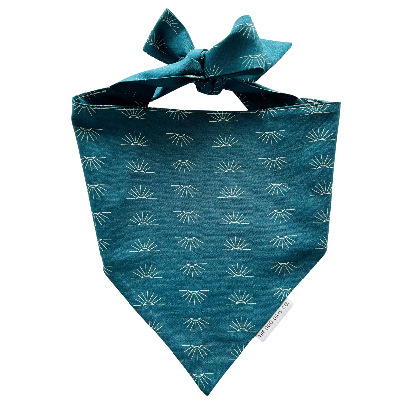 Sunny Side Up Bandana