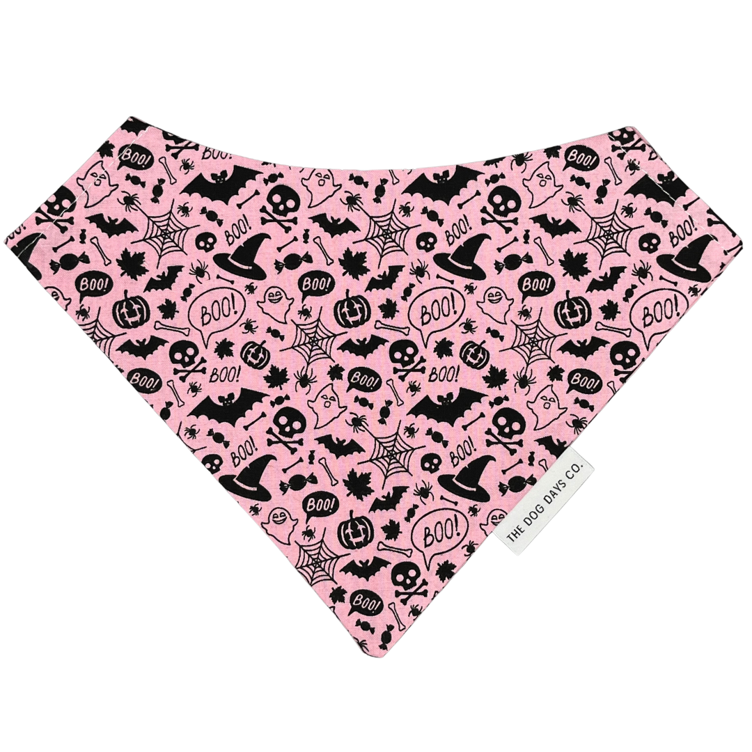 Witchy Bandana