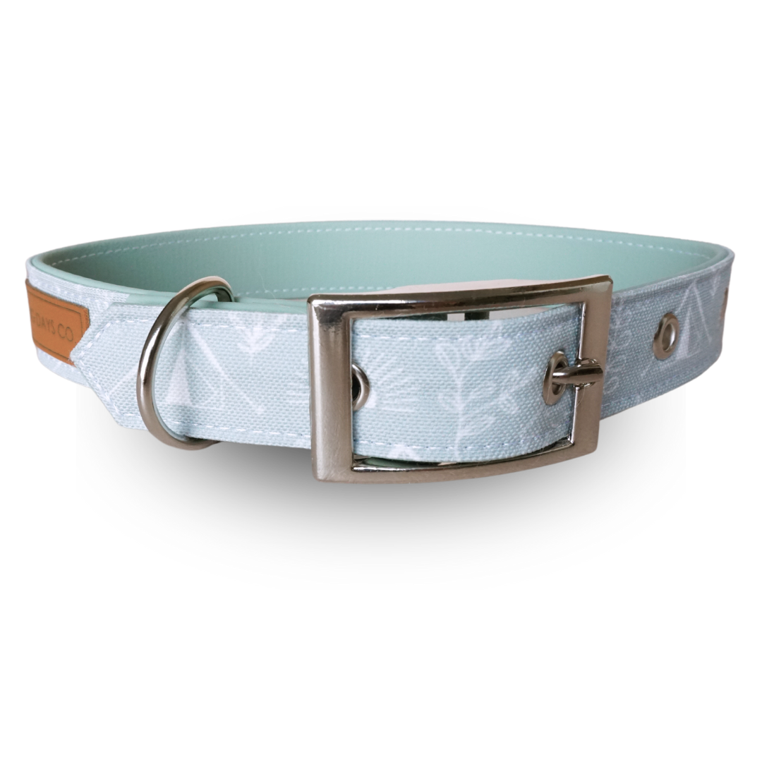 Autumn Camper EcoPup Collar