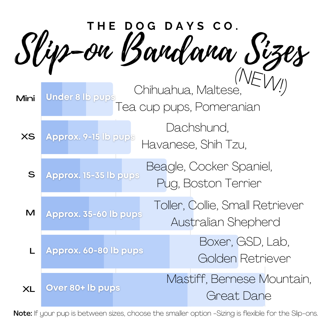 Boo! Slip-On Bandana