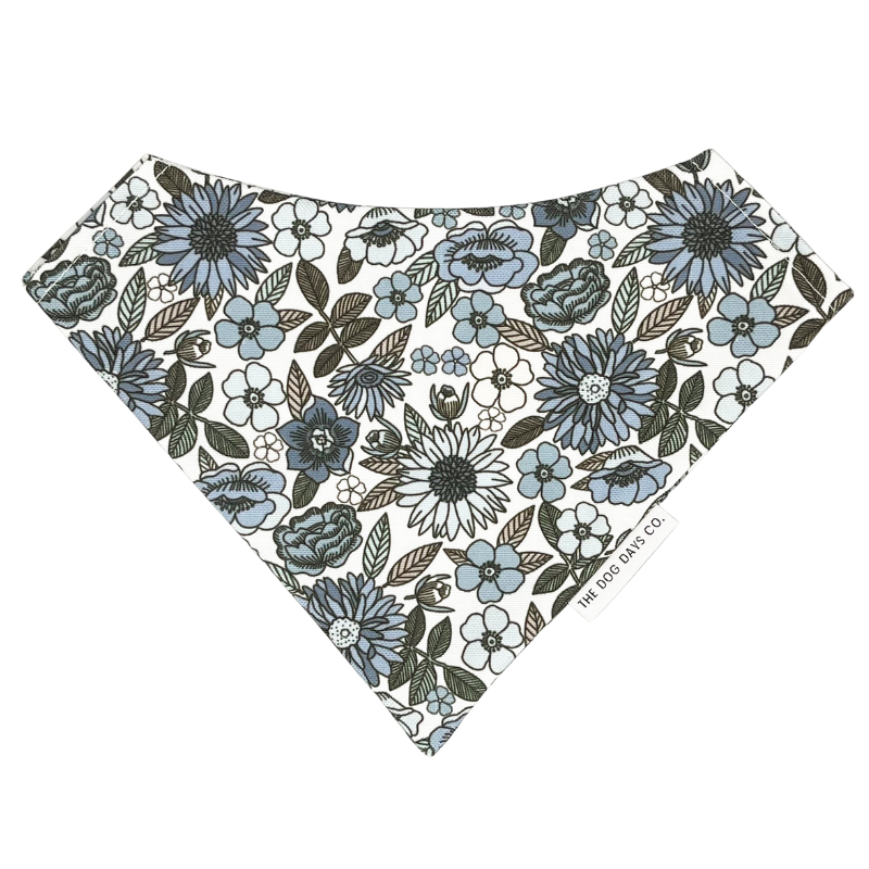 Vintage Blue EcoPup Slip-On Bandana – The Dog Days Co.