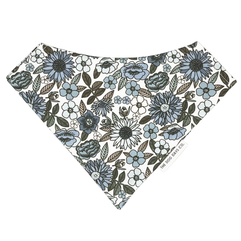 Vintage Blue EcoPup Slip-On Bandana