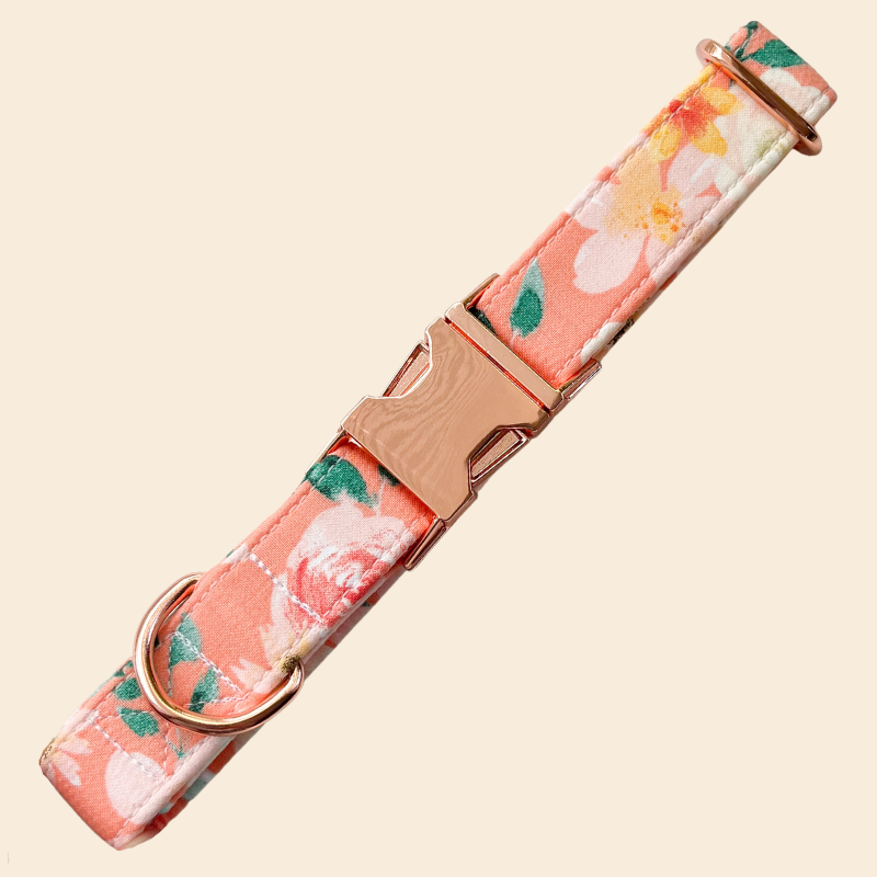 Sunrise Floral Collar