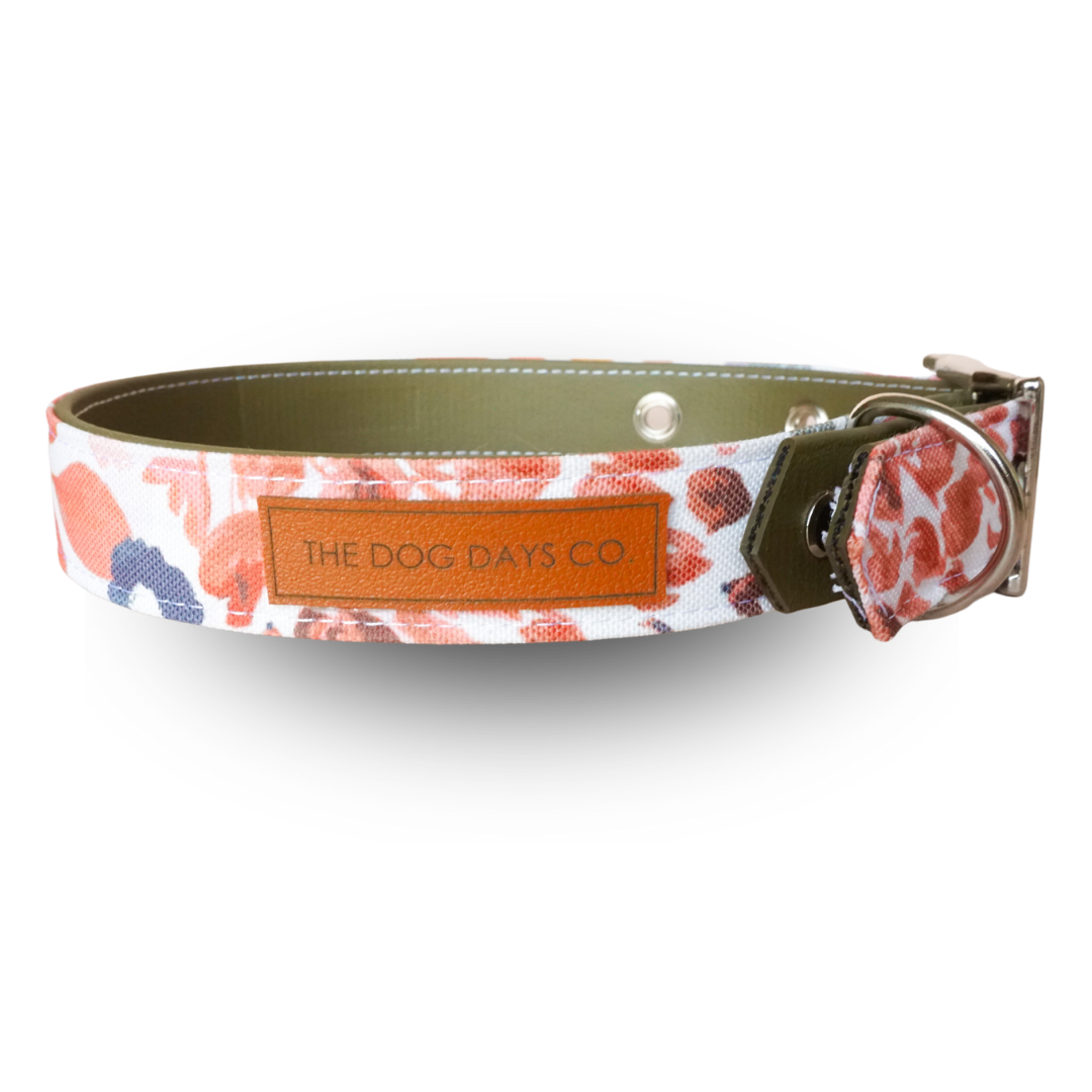 Autumn Harvest EcoPup Collar
