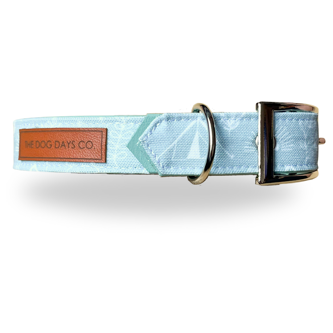 Autumn Camper EcoPup Collar
