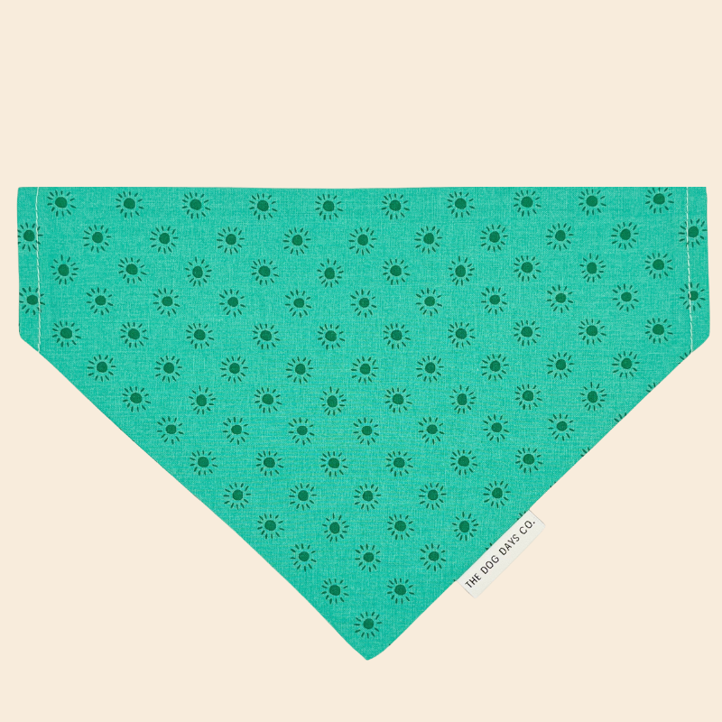 Sunshine Slip-On Bandana