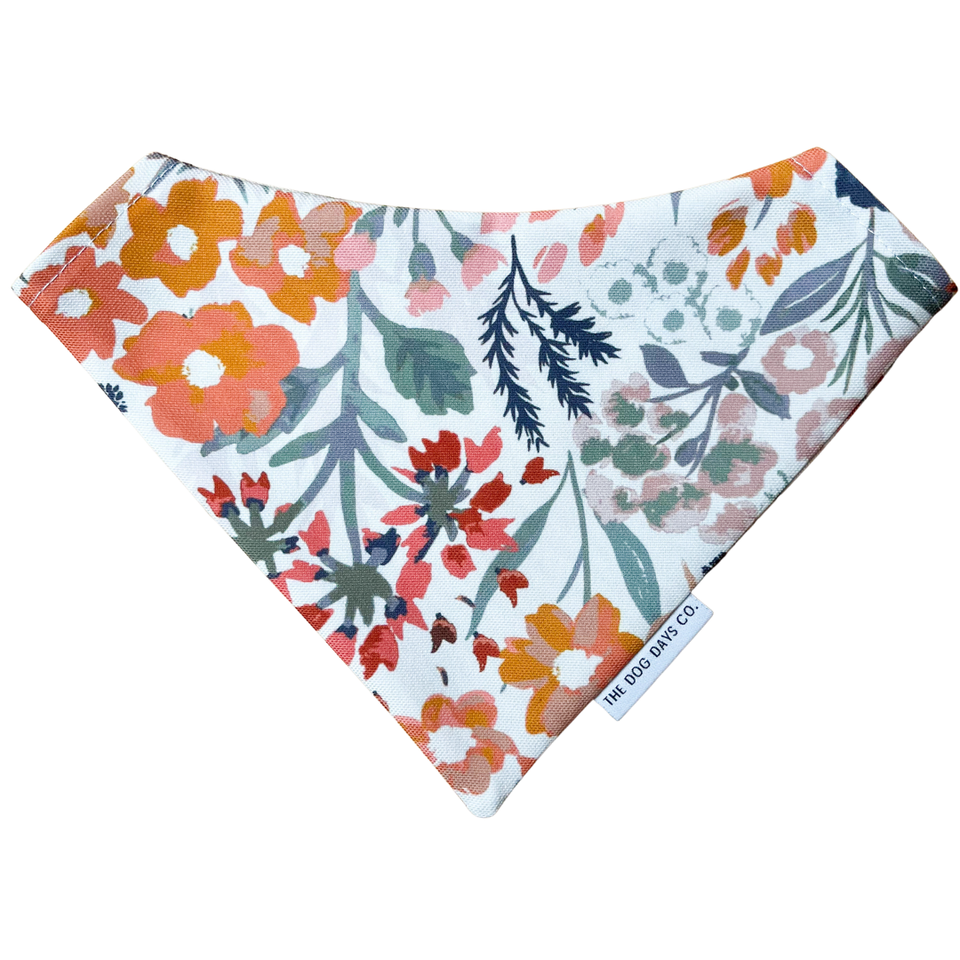 Autumn Harvest EcoPup Slip-On Bandana