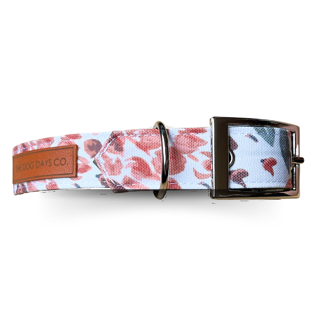 Autumn Harvest EcoPup Collar