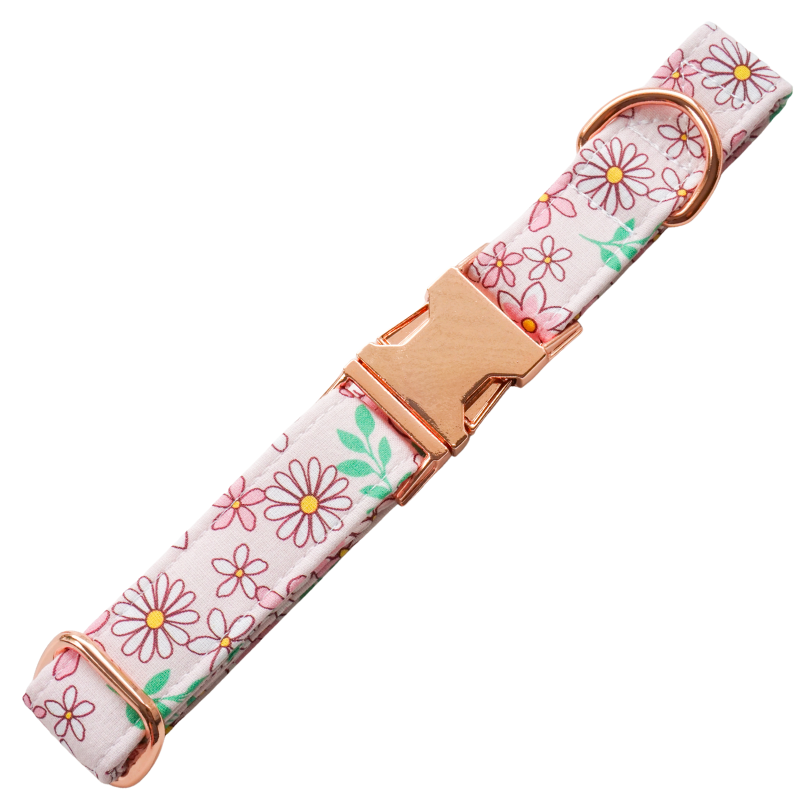 Pretty in Pink Collar