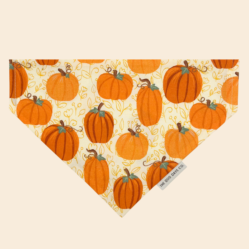 Pumpkin Patch Slip-on Bandana