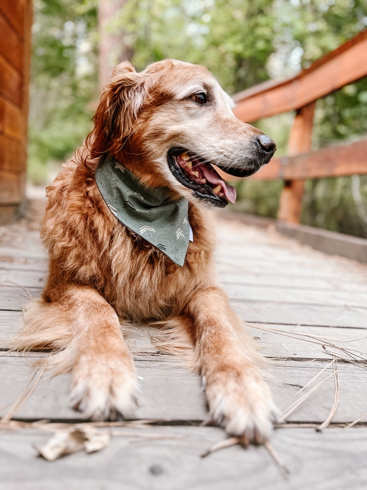 Homeward Bound Tie-Up Bandana