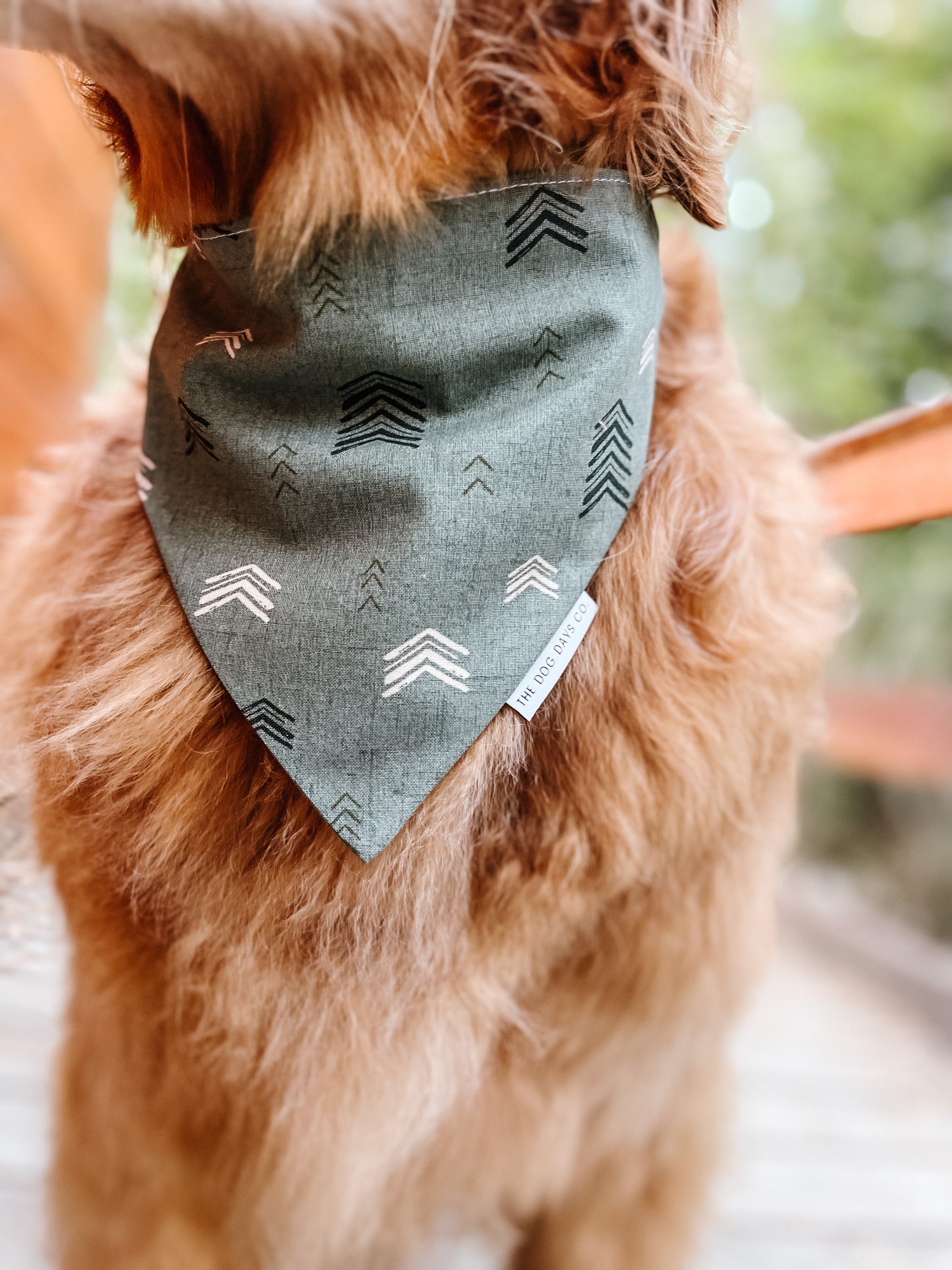 Homeward Bound Tie-Up Bandana