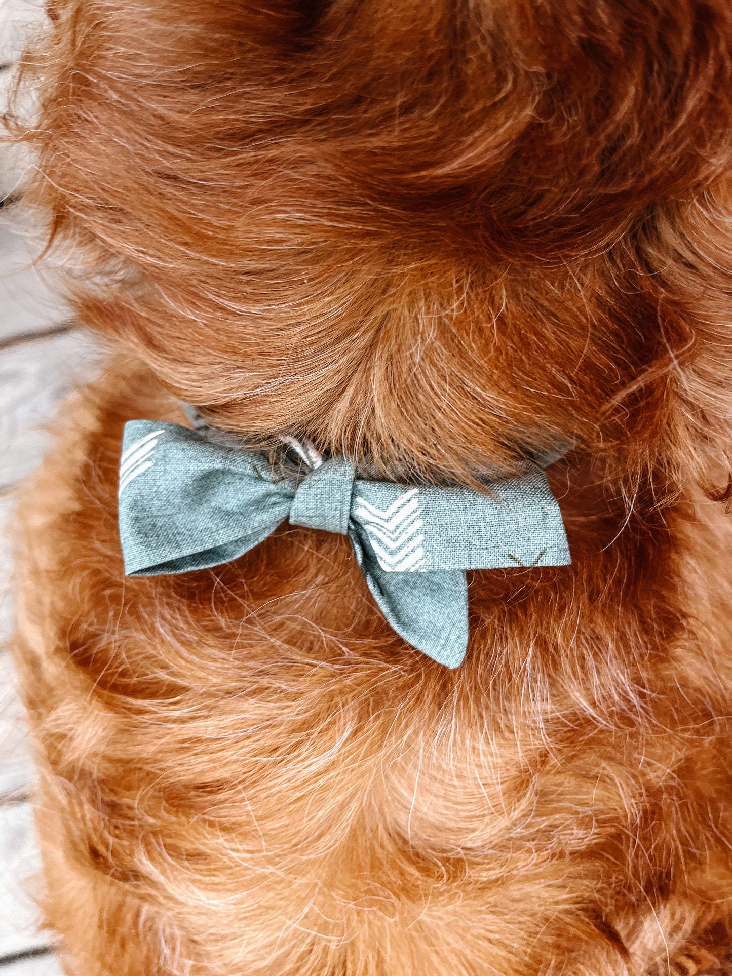 Homeward Bound Tie-Up Bandana