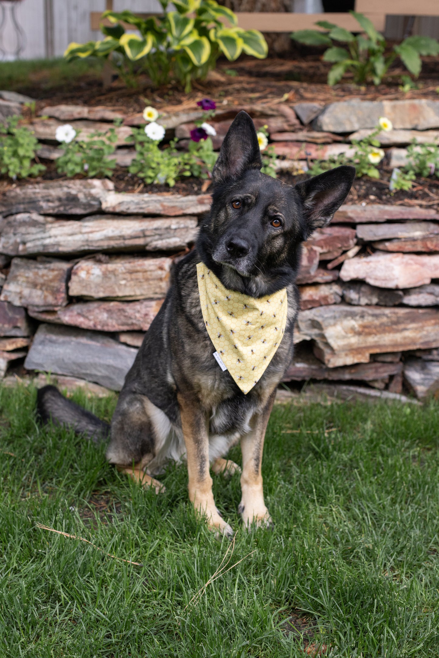Bumble Bee Scrunchie Bandana