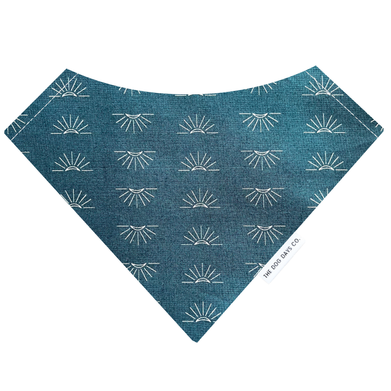 Sunny Side Up Bandana