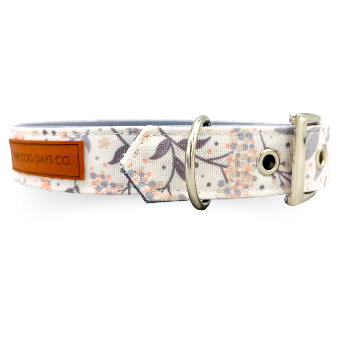 Autumn Bliss EcoPup Collar