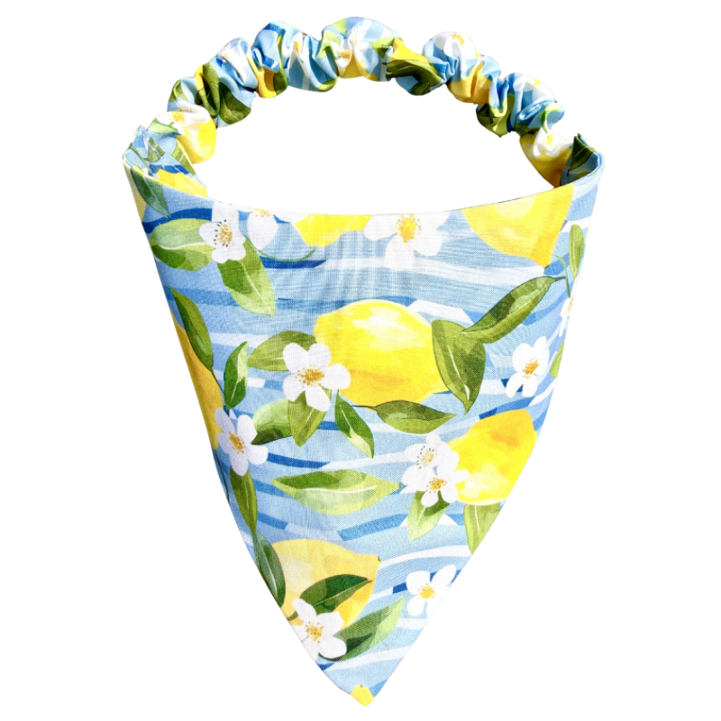 Citrus Bliss Scrunchie Bandana