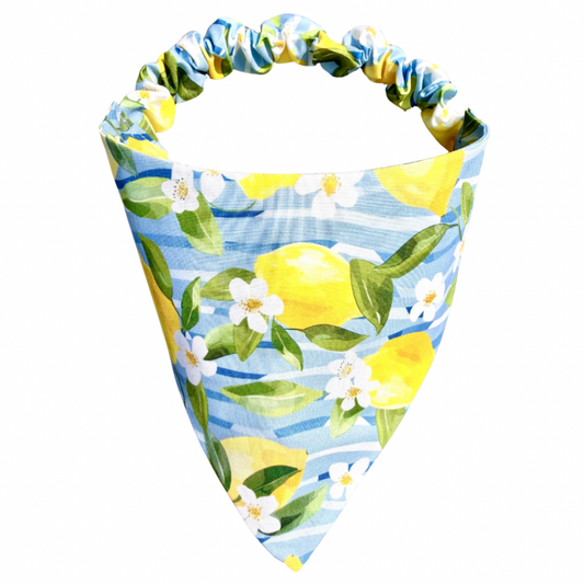 Citrus Bliss Scrunchie Bandana