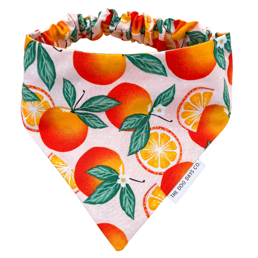 Peach Passion Scrunchie Bandana