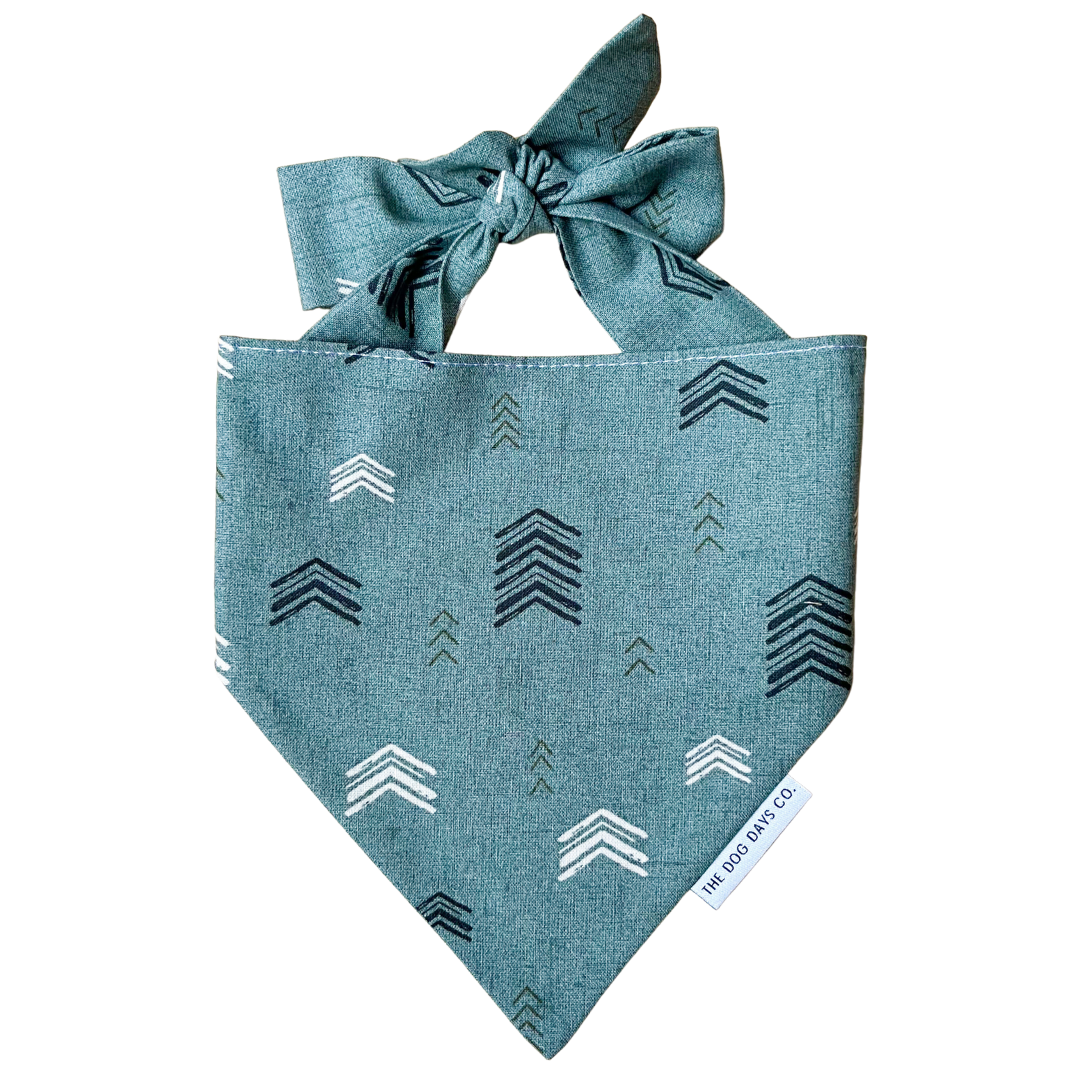 Homeward Bound Tie-Up Bandana