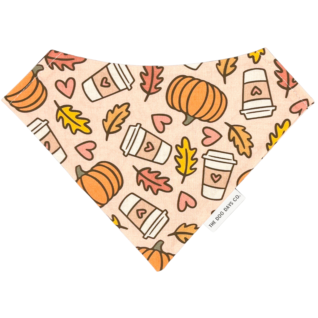 Fall Vibes Bandana