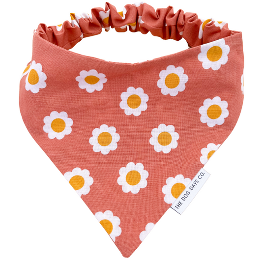 Daisy Daze Scrunchie Bandana