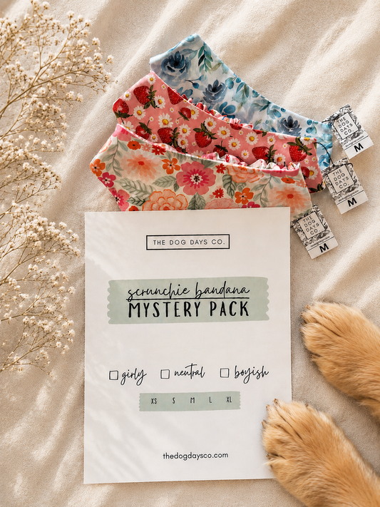 Scrunchie Bandana Mystery Packs
