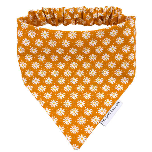 Honey Bloom Scrunchie Bandana