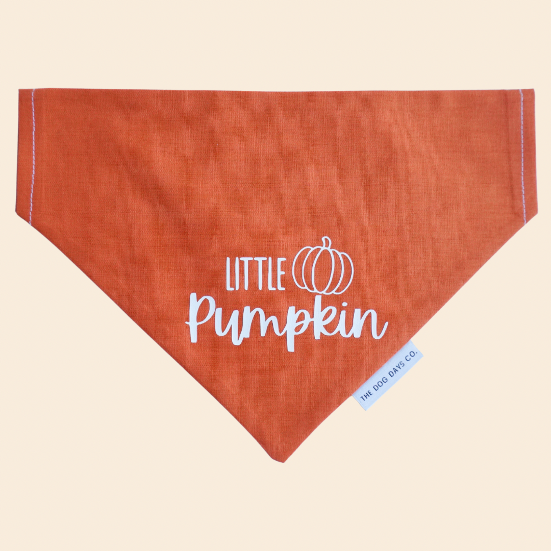 Little Pumpkin Slip-On Bandana