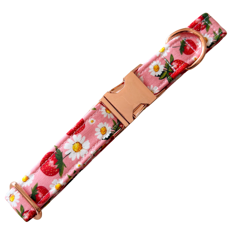 Strawberry Shortcake Collar