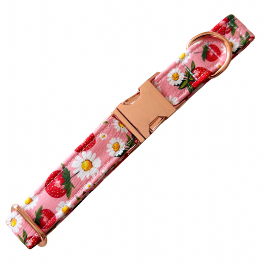 Strawberry Shortcake Collar
