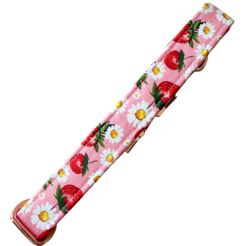 Strawberry Shortcake Collar