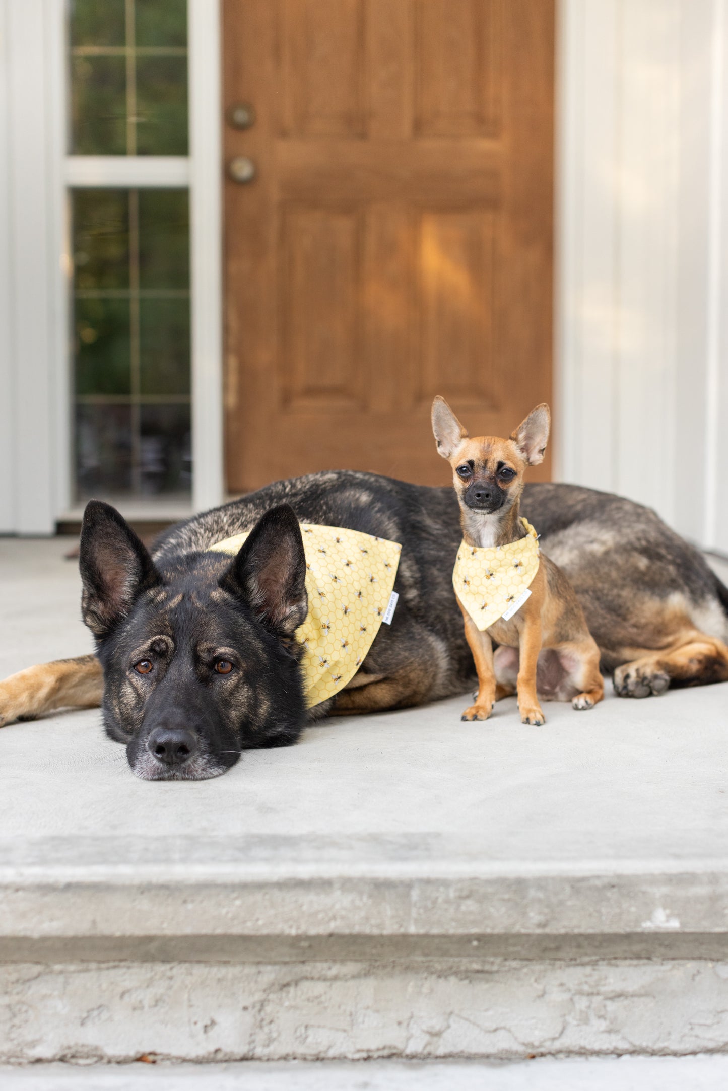 Bumble Bee Scrunchie Bandana