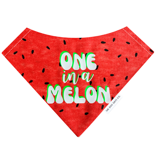 One In A Melon Bandana